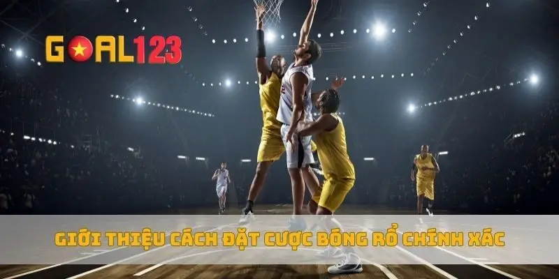 Giới thiệu cách đặt cược bóng rổ chính xác