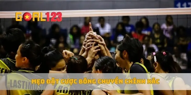 Mẹo đặt cược bóng chuyền chính xác